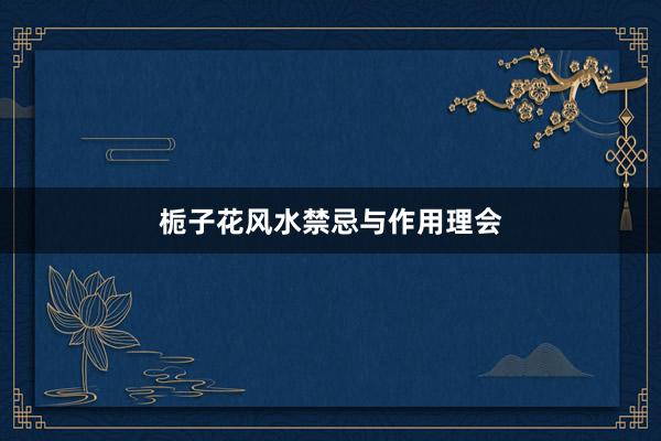 栀子花风水禁忌与作用理会