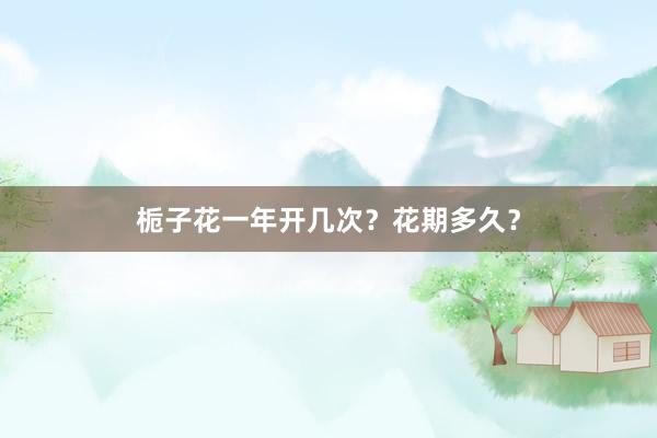 栀子花一年开几次？花期多久？