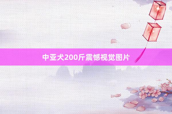 中亚犬200斤震憾视觉图片
