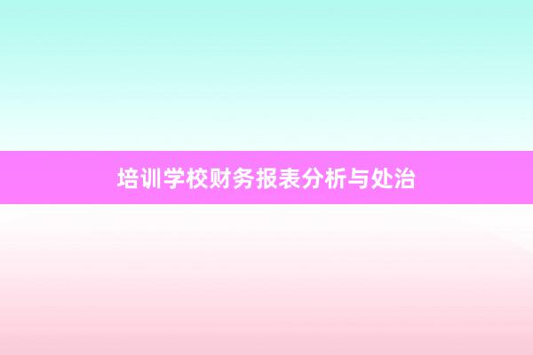 培训学校财务报表分析与处治